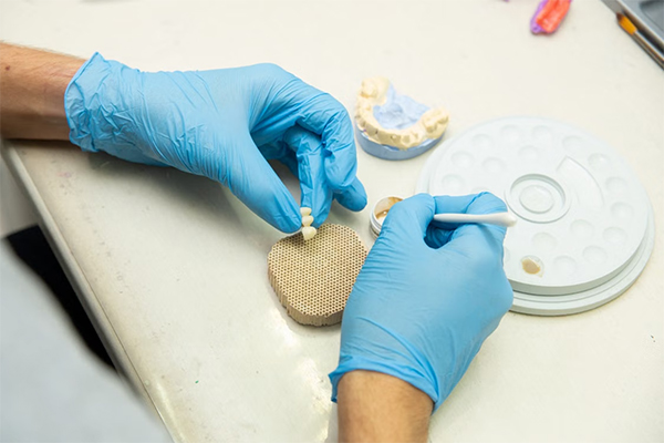 Biomimetic and Conservative Materials