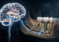 How Getting New Dental Implants Restores Your Subconscious 'Chewing Memory