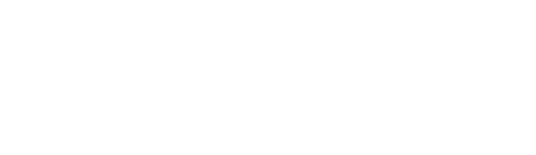 Dr Irfana's Dental Studio Logo